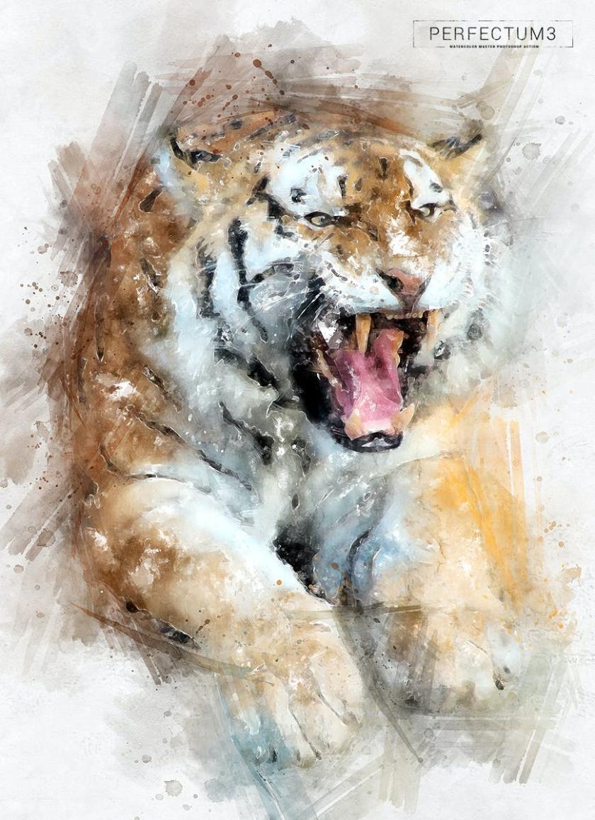 25xt-710707 Perfectum3-WatercolorMasterPhotoshopActionz7.jpg