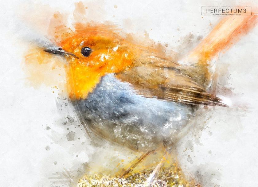 25xt-710707 Perfectum3-WatercolorMasterPhotoshopActionz8.jpg