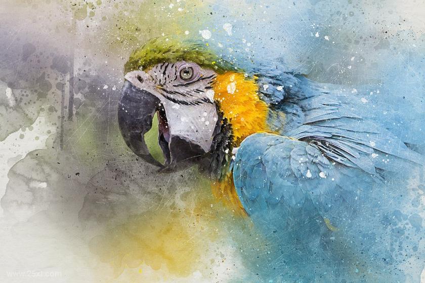 25xt-710744 Perfectum-VintageWatercolorPhotoshopActionz14.jpg