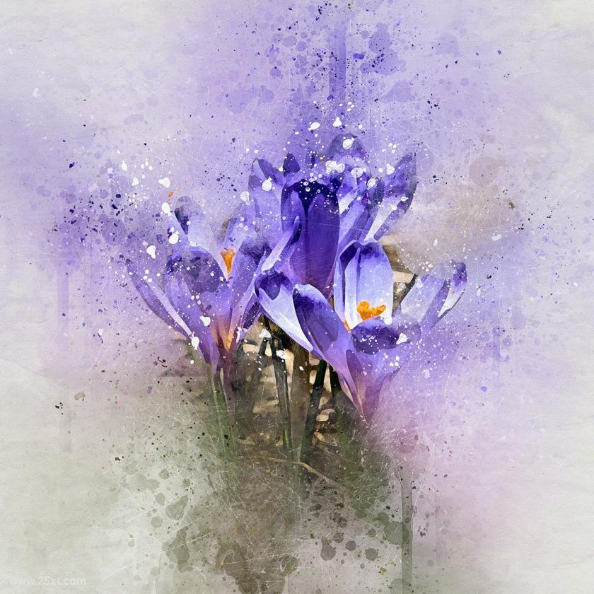 25xt-710744 Perfectum-VintageWatercolorPhotoshopActionz5.jpg