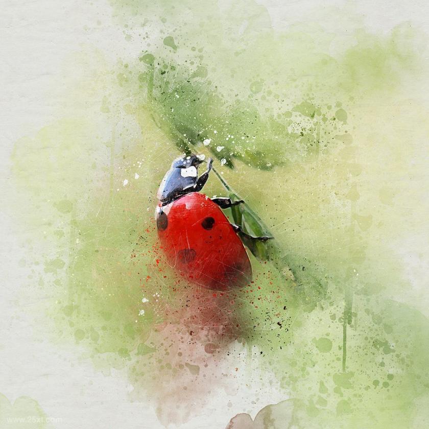 25xt-710744 Perfectum-VintageWatercolorPhotoshopActionz9.jpg