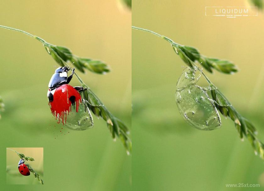 25xt-710751 Liquidum-TransparentPaintingPhotoshopActionz9.jpg