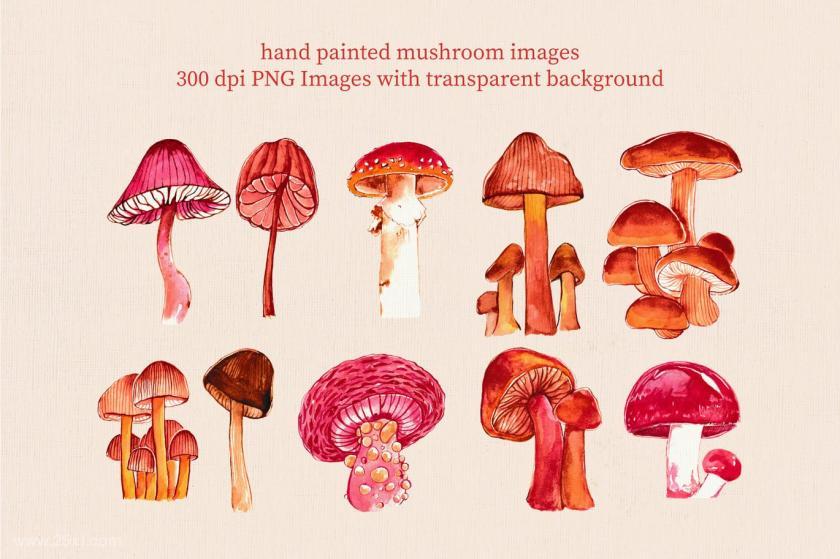 25xt-610844 WatercolorMushroomz3.jpg