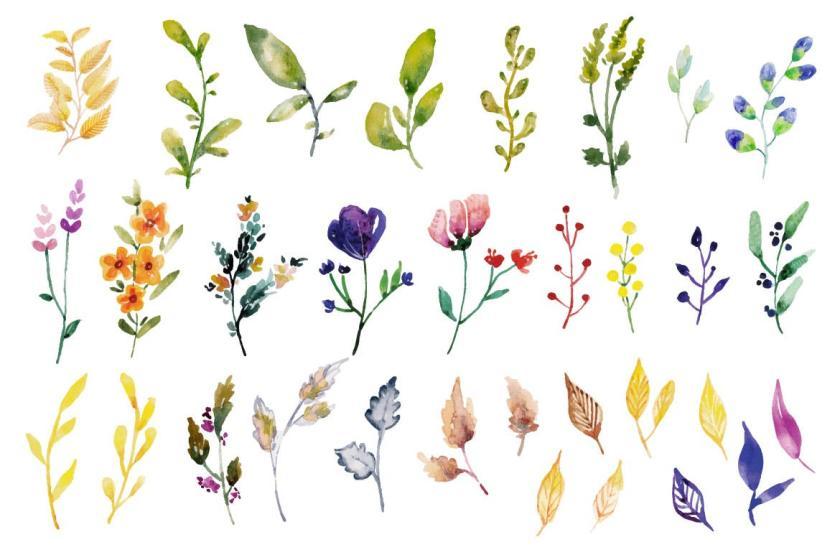 25xt-610846 FoliageandLeavesWatercolorSetVol2z6.jpg