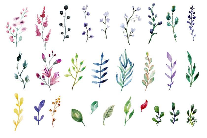 25xt-610846 FoliageandLeavesWatercolorSetVol2z7.jpg