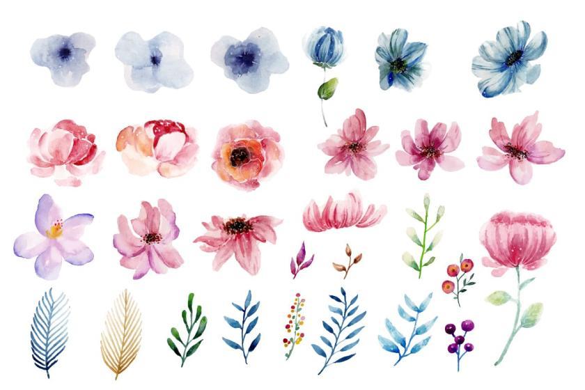 25xt-610859 FlowersandFoliageWatercolorSetVol1z7.jpg