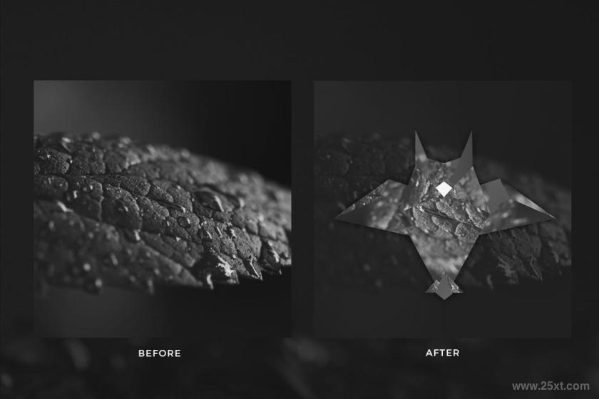 25xt-610880 OrigamiShapesPhotoTemplatesV1z4.jpg