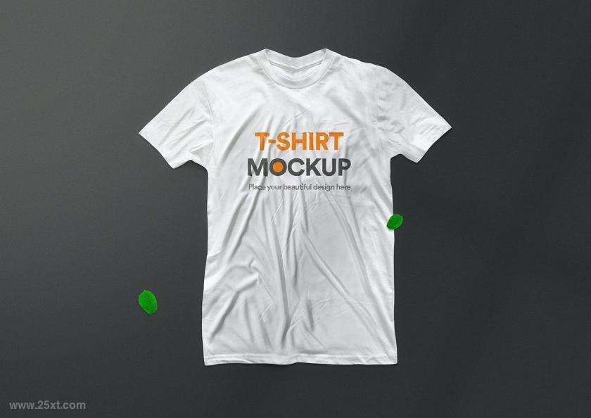 25xt-710916 T-ShirtMockup09z3.jpg