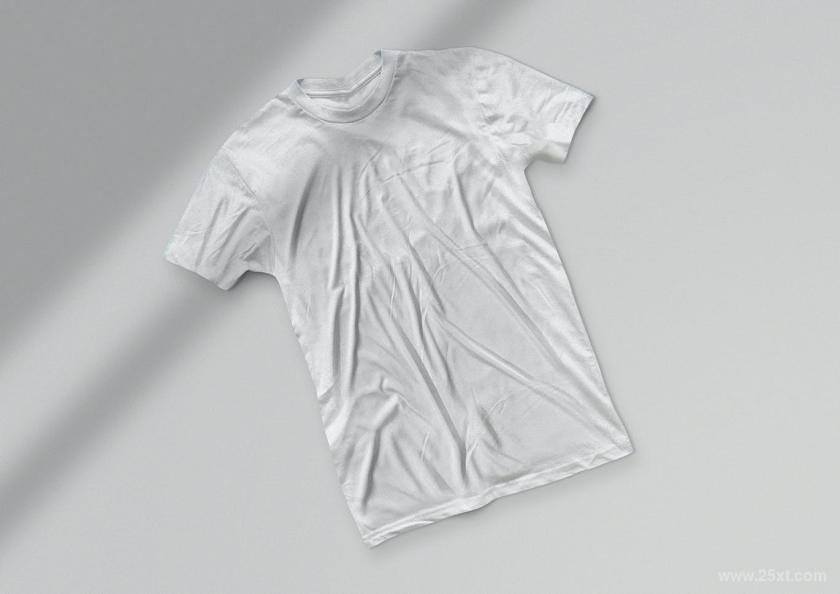 25xt-611060 T-ShirtMockup10z5.jpg