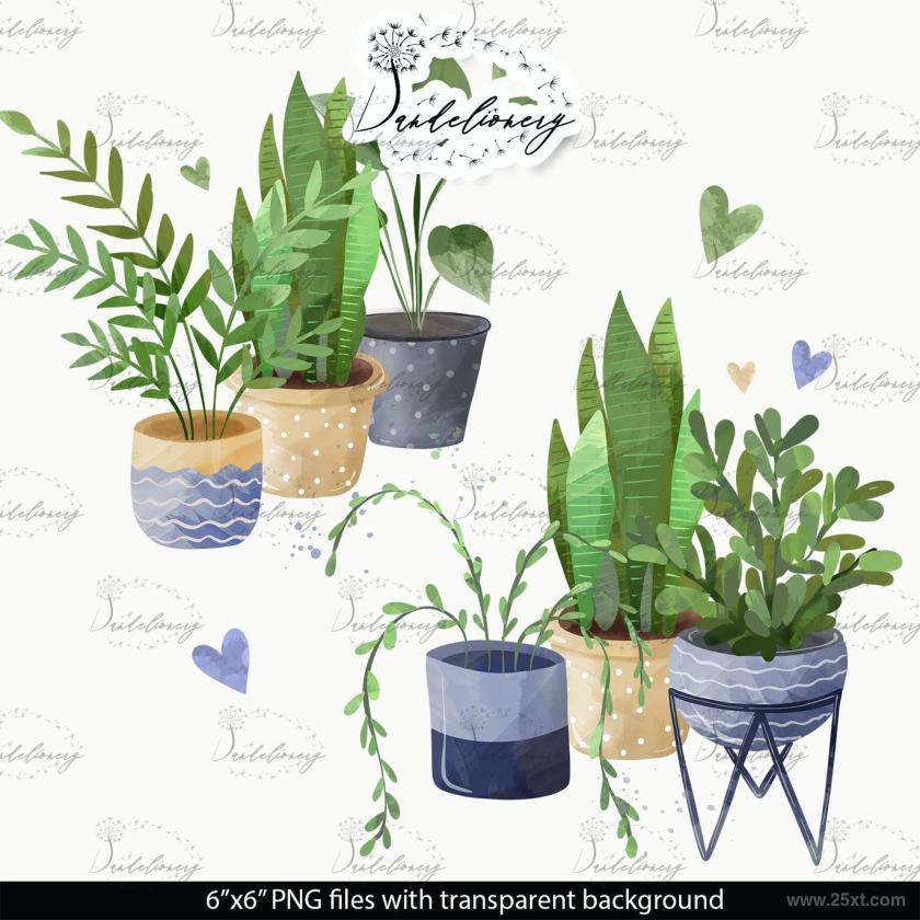 25xt-611082 HousePlantclipartsz5.jpg