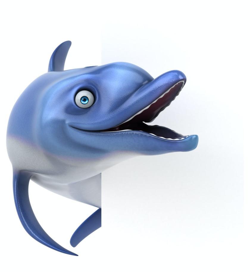 25xt-610140 10funDolphinsz4.jpg