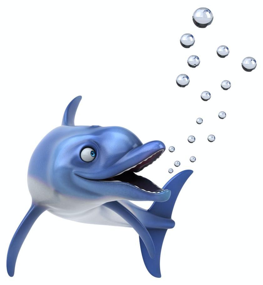 25xt-610140 10funDolphinsz5.jpg