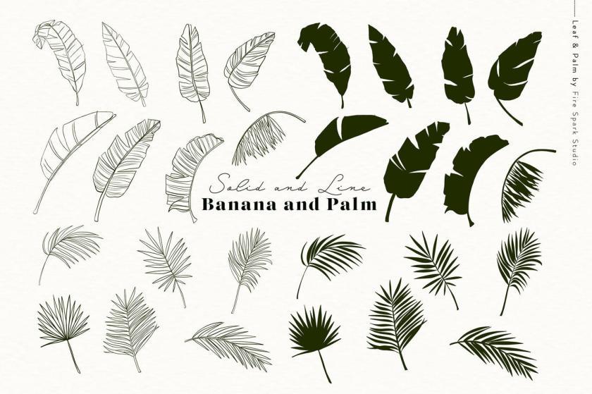 25xt-710105 LeafandPalmVectorIllustrationsz4.jpg