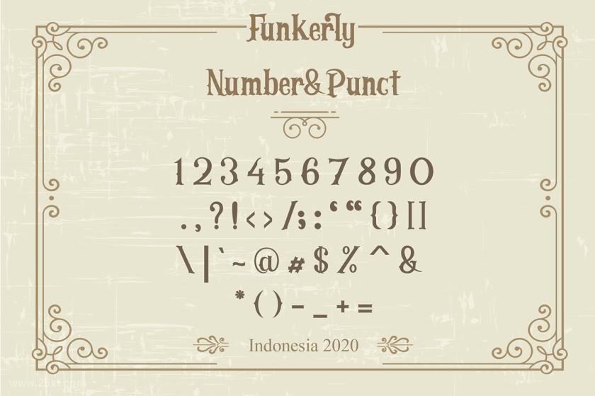 25xt-710108 FunkerlyVintageTypefaceSerifFontz5.jpg