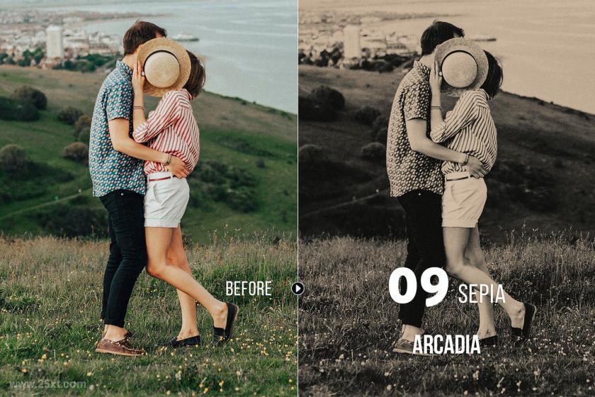 25xt-710210 ArcadiaLandscapePresetsforLightroomACRz11.jpg