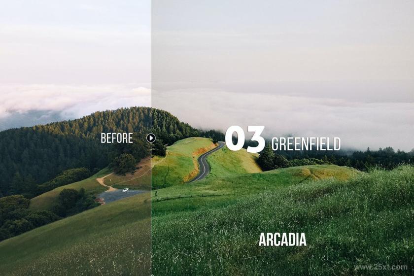 25xt-710210 ArcadiaLandscapePresetsforLightroomACRz5.jpg