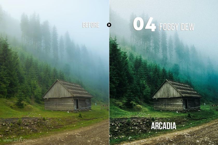 25xt-710210 ArcadiaLandscapePresetsforLightroomACRz6.jpg
