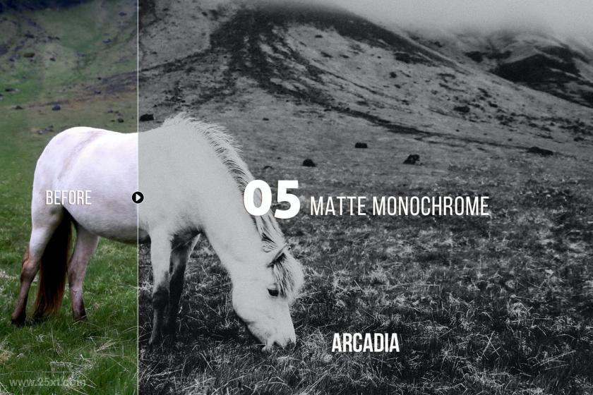 25xt-710210 ArcadiaLandscapePresetsforLightroomACRz7.jpg