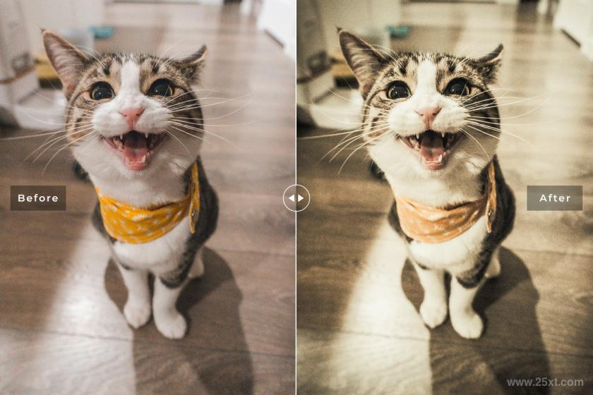 25xt-710217 CatsLoveMobileDesktopLightroomPresetsz4.jpg