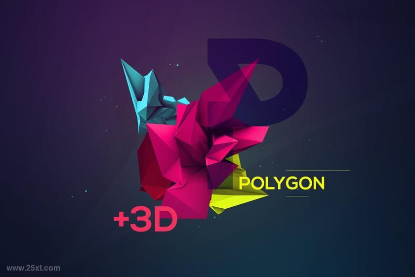 25xt-611090 Polygonz6.jpg