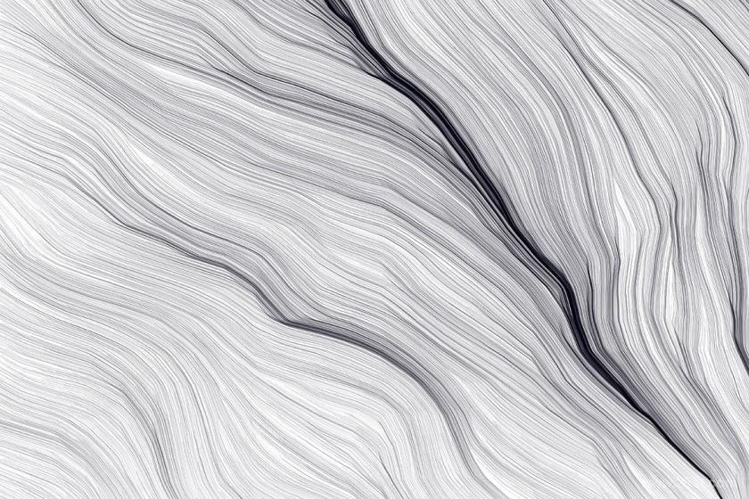 25xt-611126 NeonFieldFlowBackgroundsz11.jpg