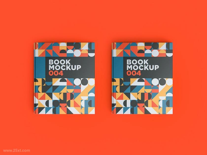 25xt-711268 BookMockup004z4.jpg