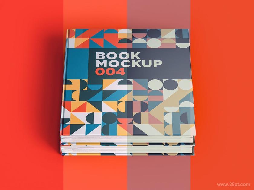 25xt-711268 BookMockup004z6.jpg