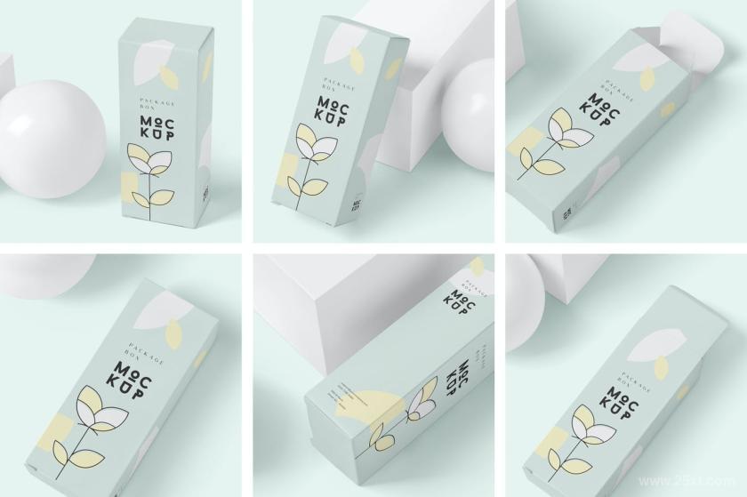25xt-711281 PackageBoxMock-Up-LongRectanglez3.jpg