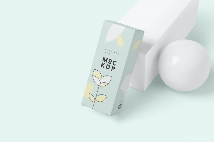 25xt-711281 PackageBoxMock-Up-LongRectanglez5.jpg