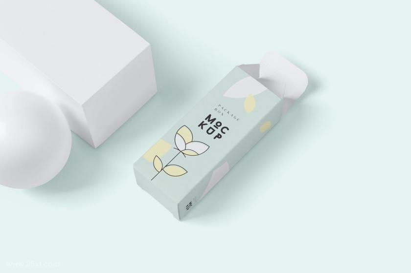 25xt-711281 PackageBoxMock-Up-LongRectanglez6.jpg