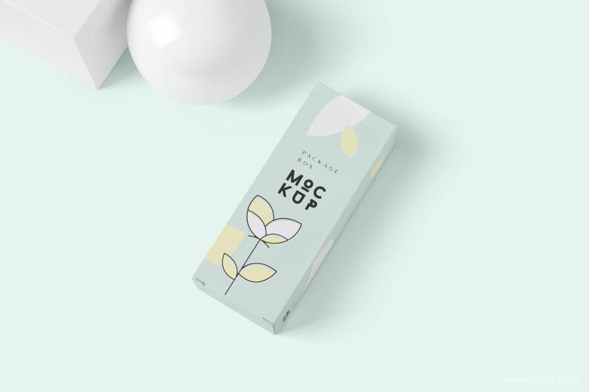25xt-711281 PackageBoxMock-Up-LongRectanglez7.jpg