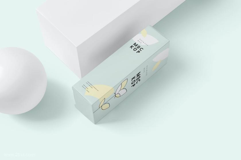 25xt-711281 PackageBoxMock-Up-LongRectanglez8.jpg
