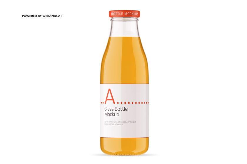 25xt-711308 JuiceGlassBottleMock-upz10.jpg