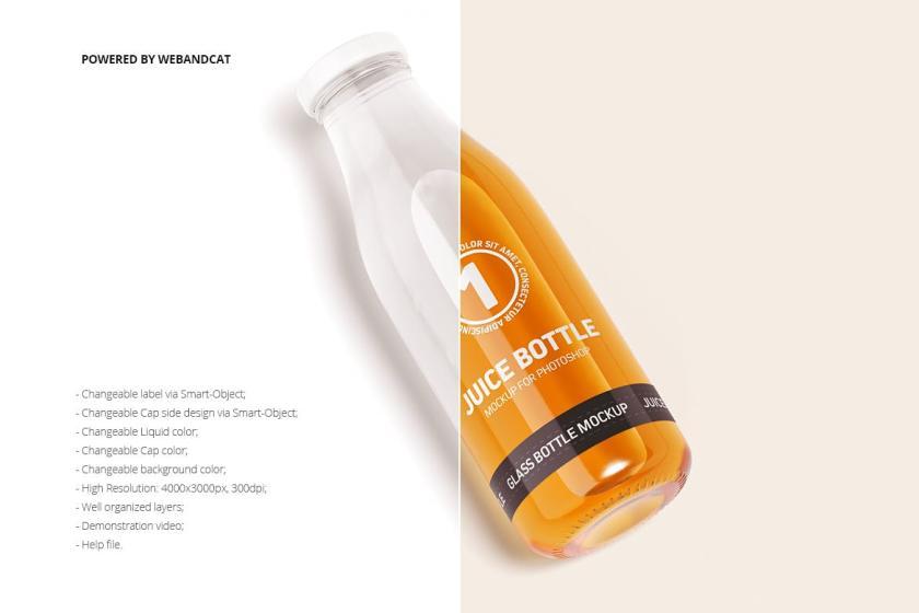 25xt-711308 JuiceGlassBottleMock-upz3.jpg