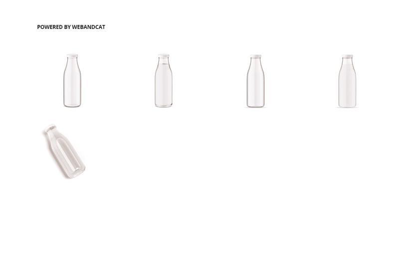 25xt-711308 JuiceGlassBottleMock-upz4.jpg