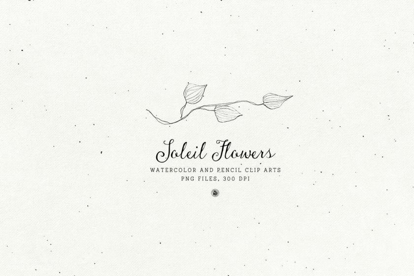 25xt-611765 SoleilFlowersz7.jpg