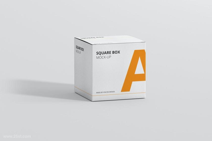25xt-611849 PackageBoxMock-Up-Squarez2.jpg