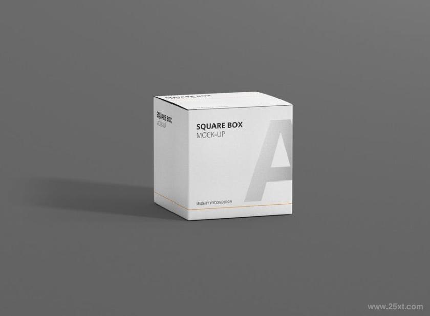 25xt-611849 PackageBoxMock-Up-Squarez5.jpg