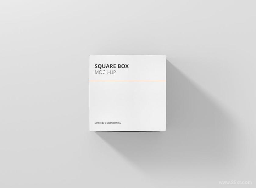 25xt-611849 PackageBoxMock-Up-Squarez8.jpg