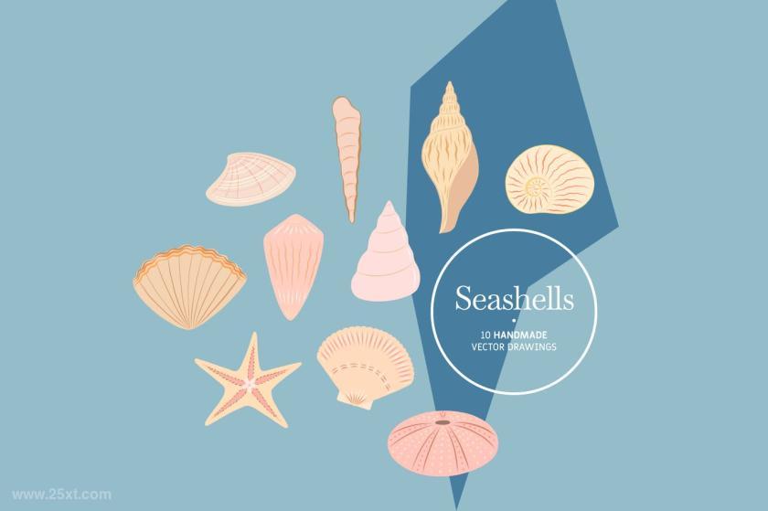 25xt-611897 Seashells-HandmadeVectorDrawingsz2.jpg