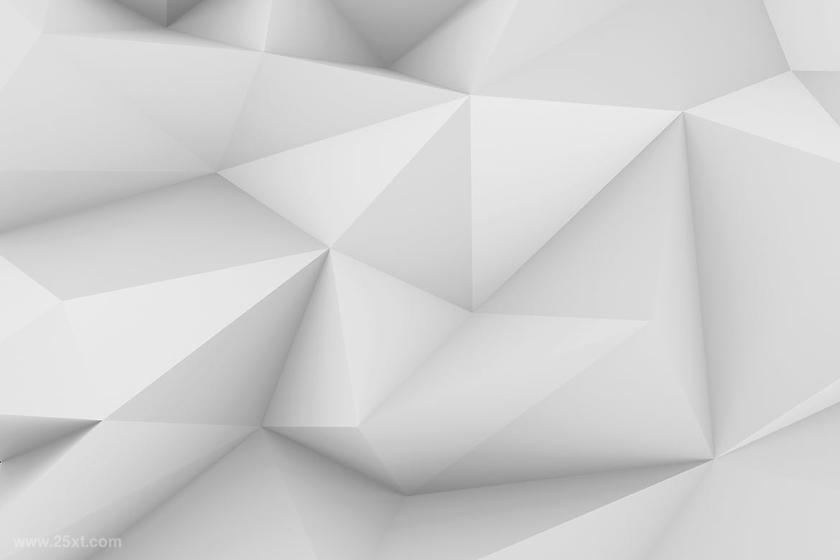 25xt-611212 10DifferentGreyandWhitePolygonBackgroundsz10.jpg