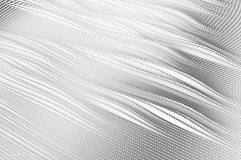 25xt-611226 PaperSeaWavesBackgroundsz4.jpg