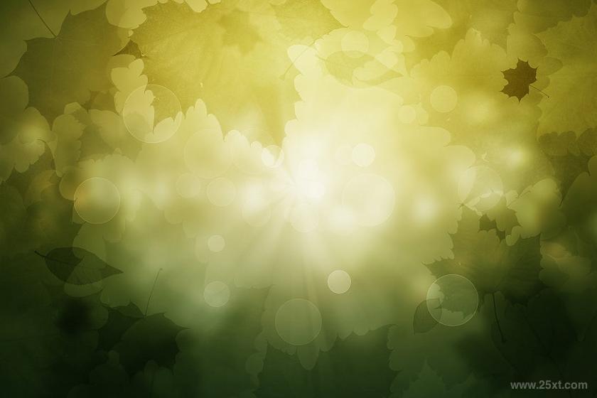 25xt-711058 AutumnSeasonBackgroundsz7.jpg