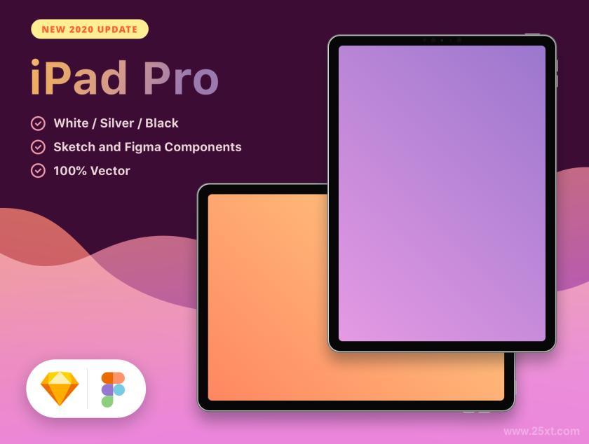 25xt-611262 New2020iPadProz4.jpg