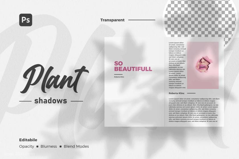 25xt-711093 PlantShadowOverlaysz3.jpg