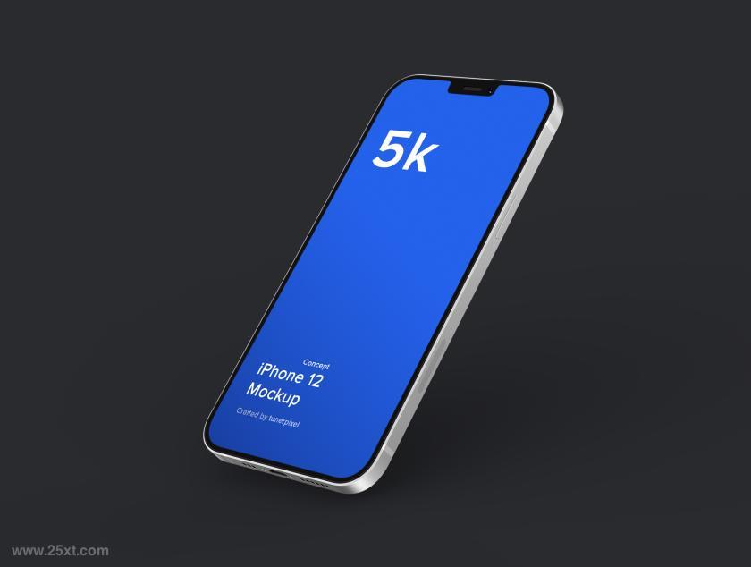 25xt-611345 iPhone12Mockup-21MockupsScenesz7.jpg