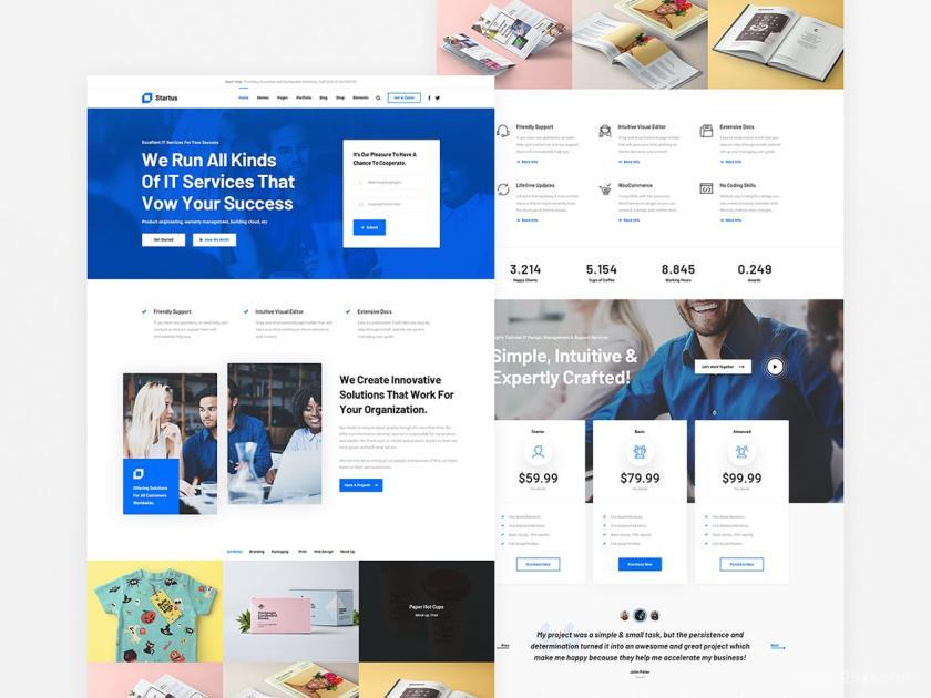 25xt-711180 Startus-MultipurposeBusinessHTML5Templatez5.jpg