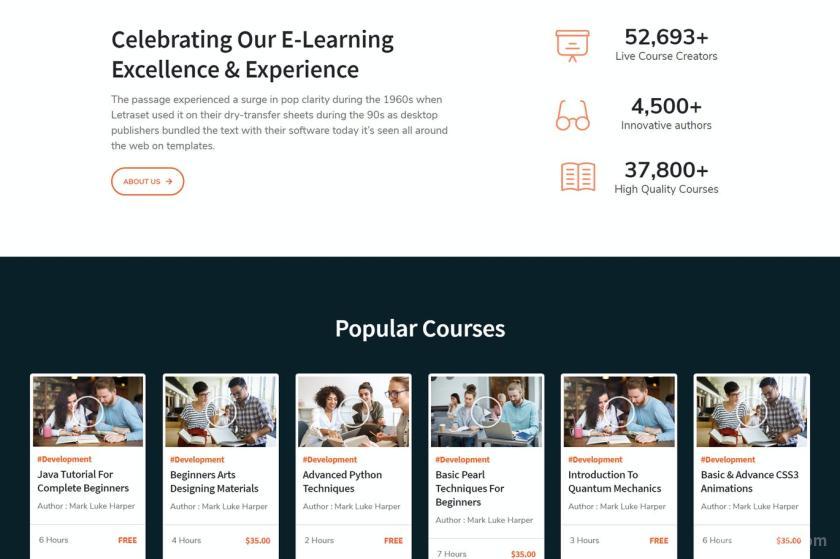 25xt-611403 LearnKit-e-LearningElementorTemplateKitz3.jpg