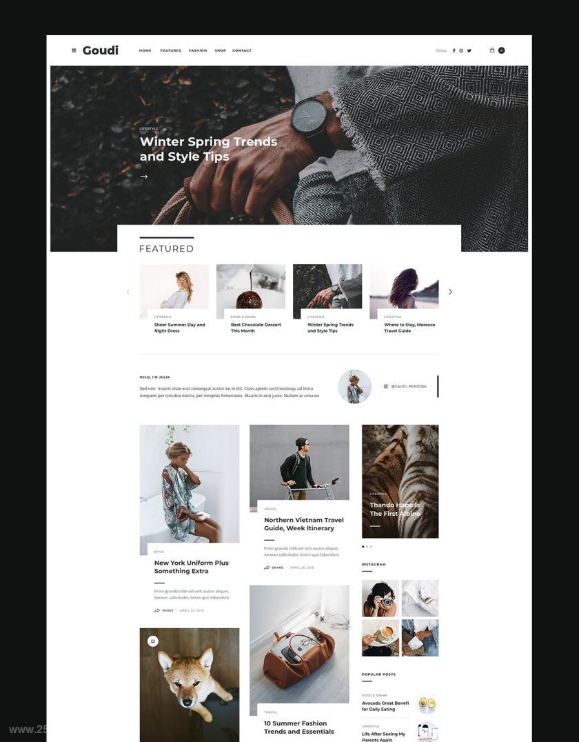 25xt-612182 Goudi-BlogMagazinePSDTemplatez3.jpg
