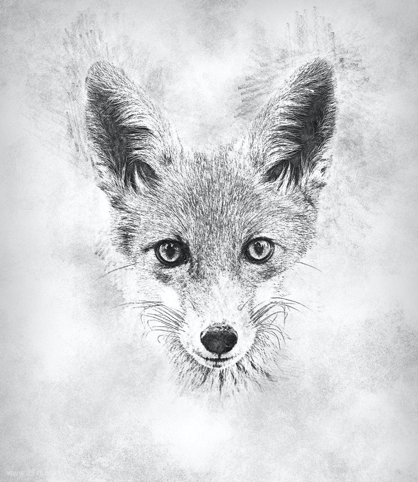 25xt-612206 ChalkSketchPhotoshopActionz10.jpg